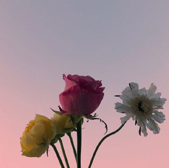 中肯实用的人生感悟，句句入骨，过目不忘！