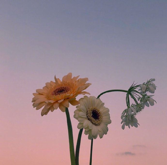 中肯实用的人生感悟,句句入骨,过目不忘!