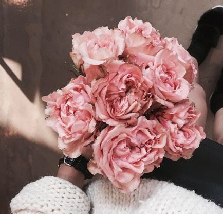 朋友圈简洁的晚安说说，温暖美好，沁人心脾！