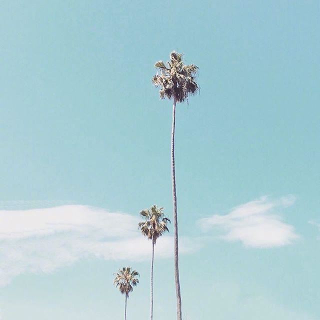 精美有气质的人生语录，句句经典，让人折服！