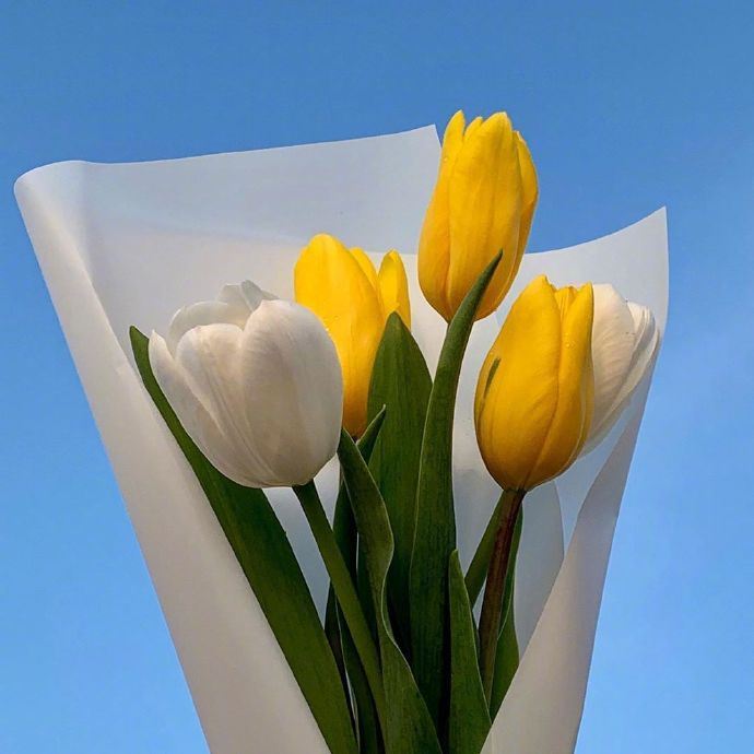 高级有质感的人生格言，发朋友圈引人深思！