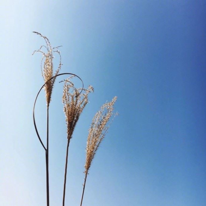 发朋友圈的优选人生格言，每日一读，豁达一生！