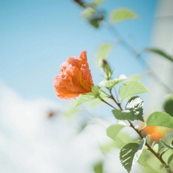 发朋友圈的优选人生格言，每日一读，豁达一生！