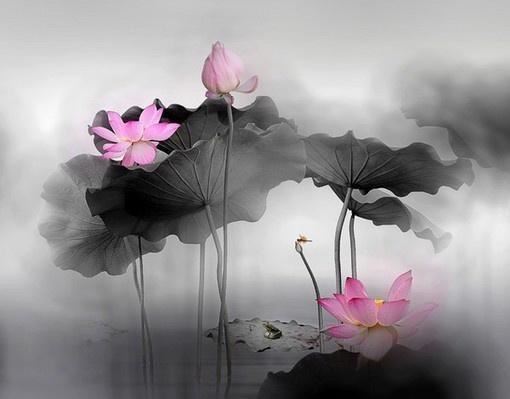 写进心窝的经典格言，句句入骨，过目不忘！