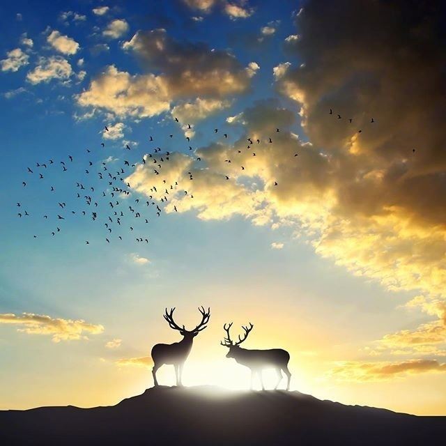 生活中很有道理的话，句句经典，引人深思！