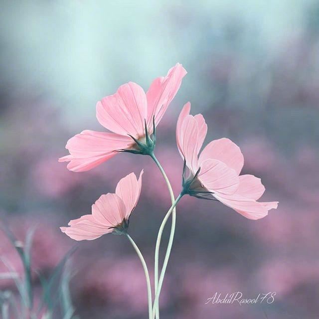 富有哲理的一句话，让你悟透人生，看懂世事！