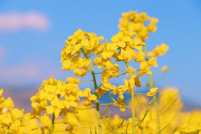 关于人生的很有哲理的句子，值得收藏一生！