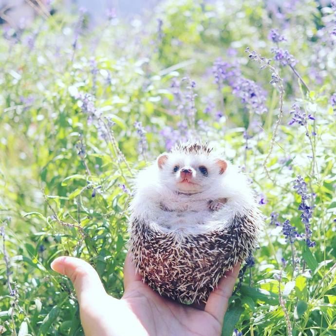 适合成年人发的有哲理的句子，话糙理不糙！