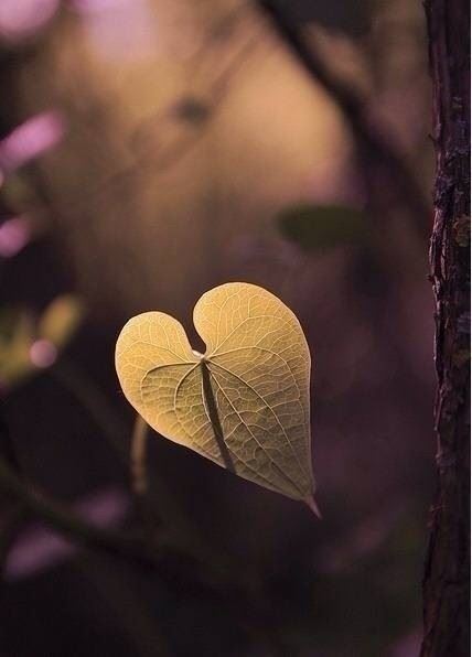 一月最睿智的人生格言，字字千金，富含哲理！