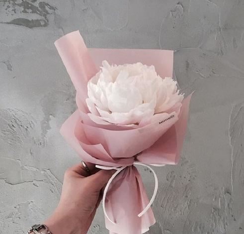 2023很火的人生哲理说说，快人一步收藏好！