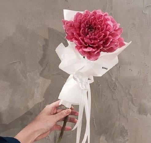 2023很火的人生哲理说说，快人一步收藏好！