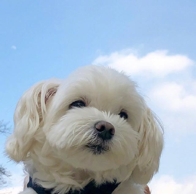 2023年末发朋友圈的经典语录，看完让人醍醐灌顶！