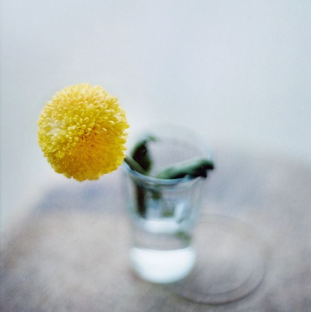 2023深得人心的晚安语录，经典入心，百看不厌！