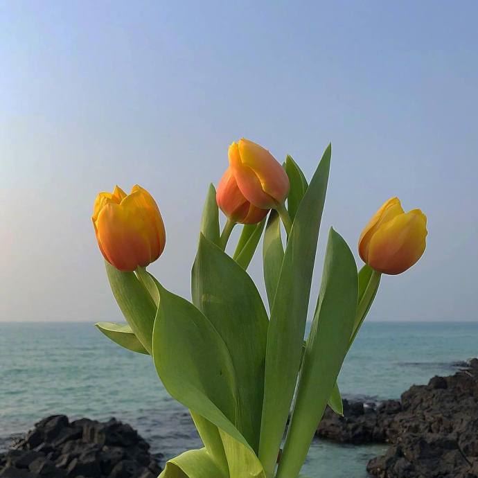 对生活领悟的精辟句子，一句话点醒你的人生！