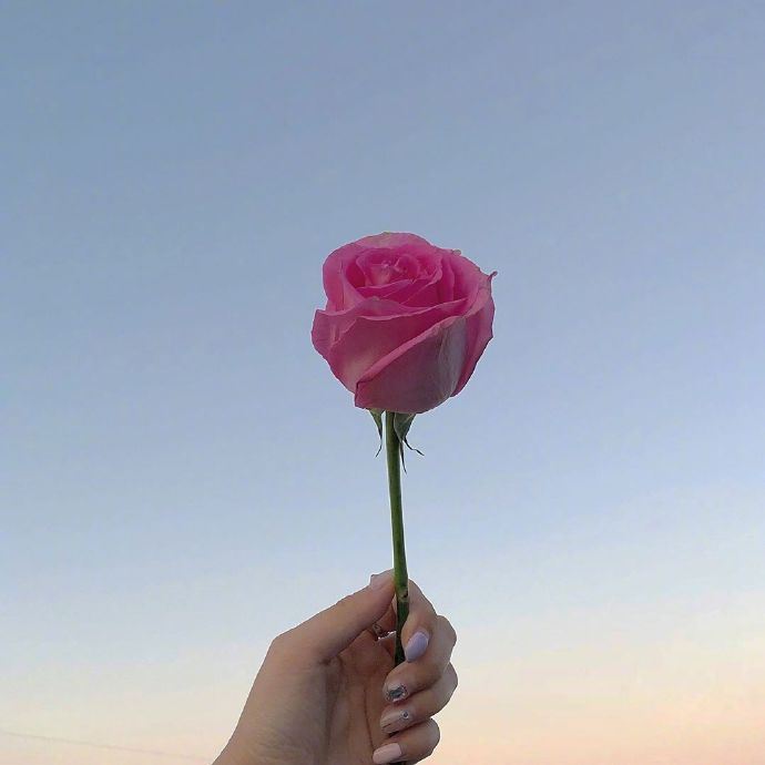 对生活领悟的精辟句子，一句话点醒你的人生！