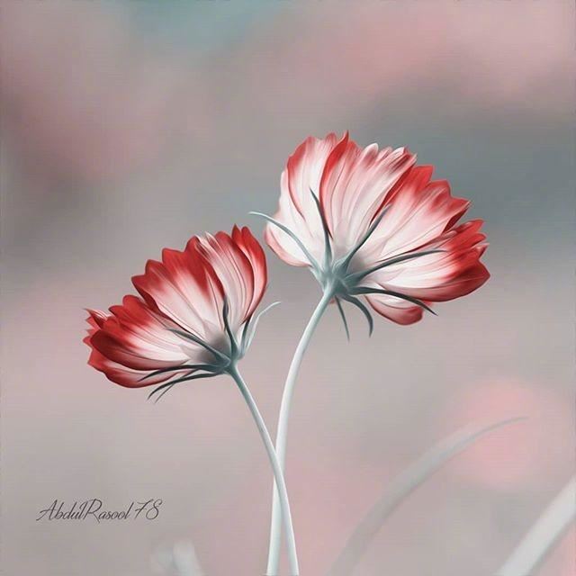 不俗套的人生金句合集，字字千金，富含哲理！