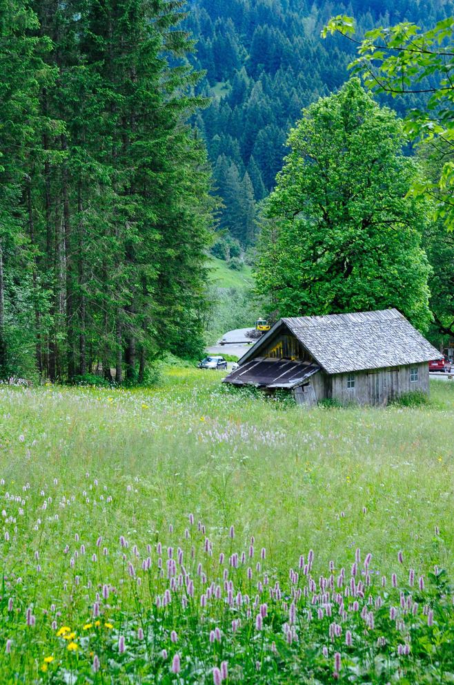 优美有内涵的人生语录，字字千金，富含哲理！