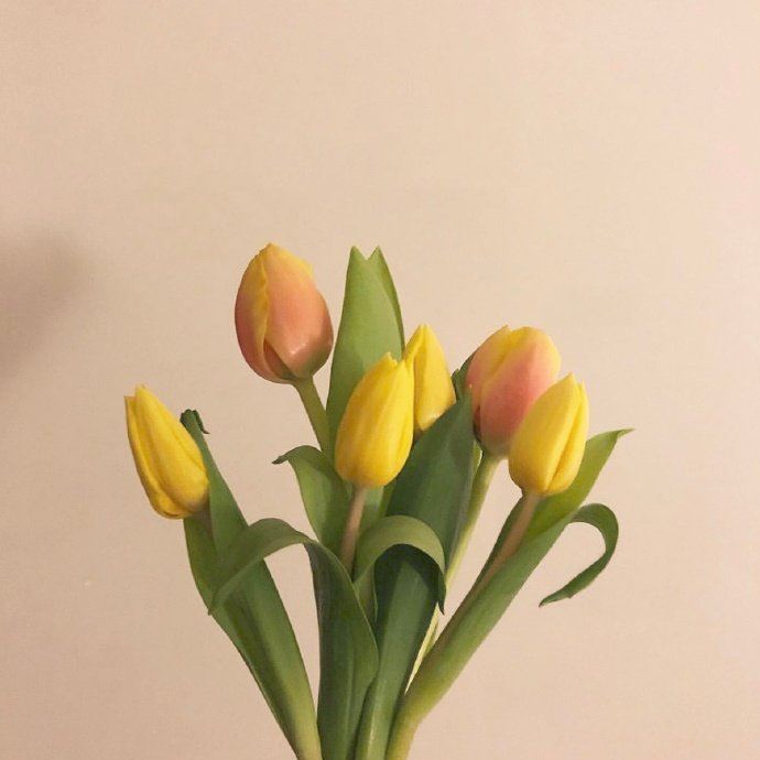 00后秀恩爱的说说短句，很甜很撩，没有之一！