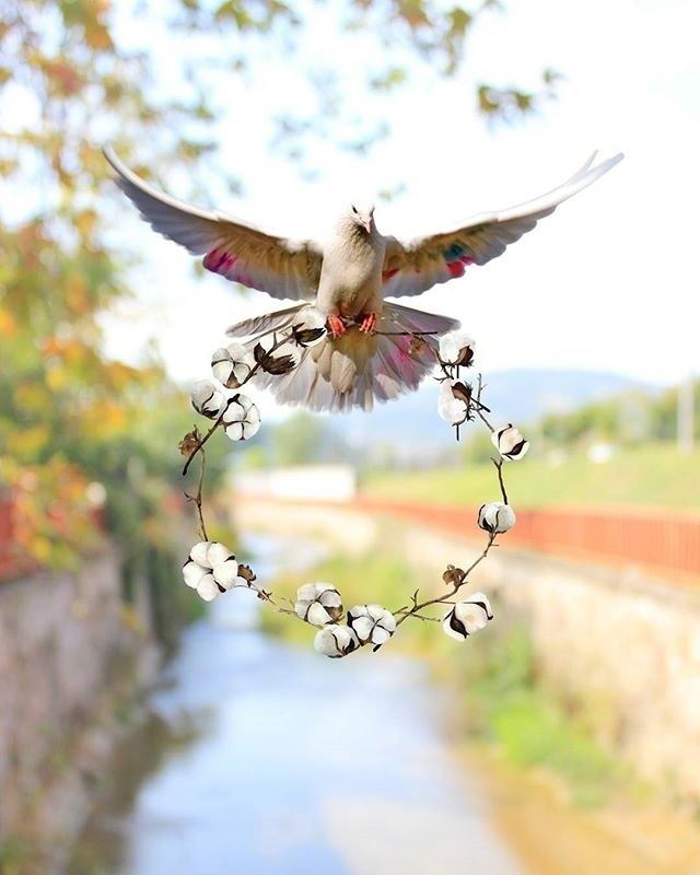 写进心窝的哲理语录，发朋友圈引人深思！