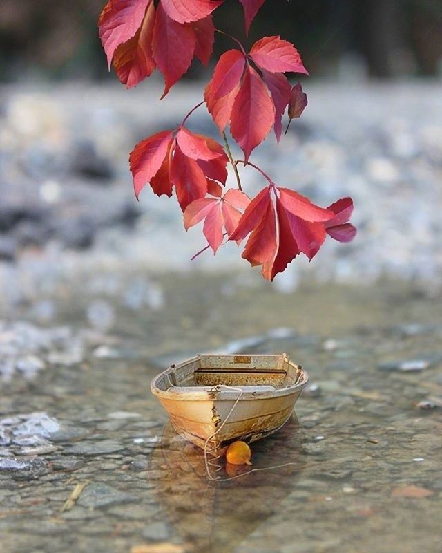 写进心窝的哲理语录，发朋友圈引人深思！