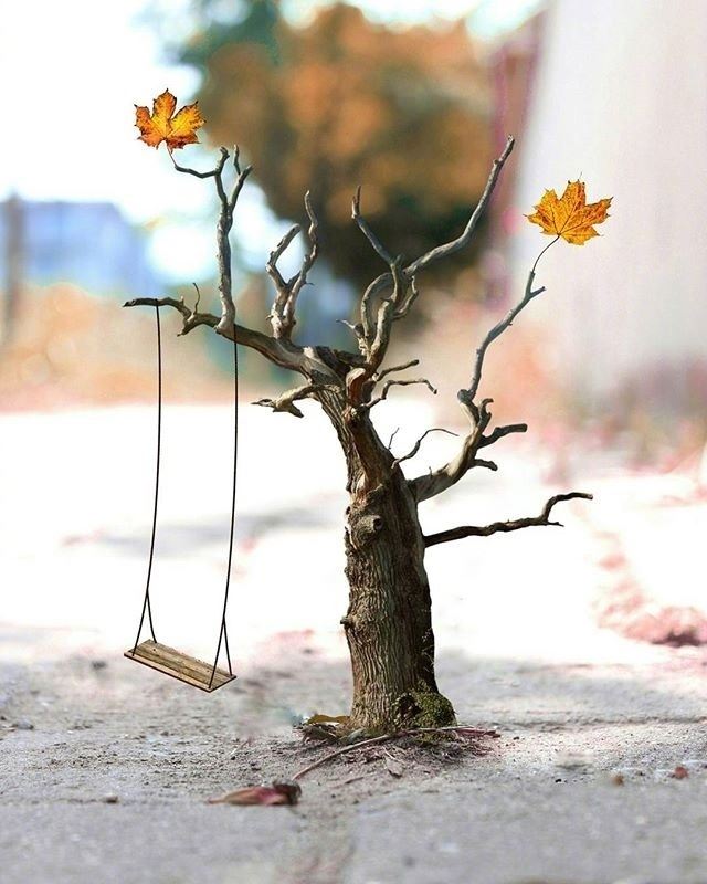 写进心窝的哲理语录，发朋友圈引人深思！