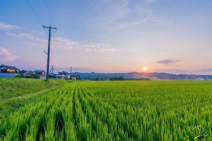 极具内涵的心灵鸡汤语录，话糙理不糙！