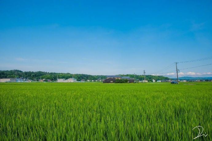 极具内涵的心灵鸡汤语录，话糙理不糙！