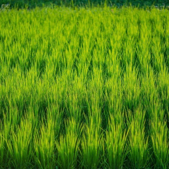 极具内涵的心灵鸡汤语录，话糙理不糙！