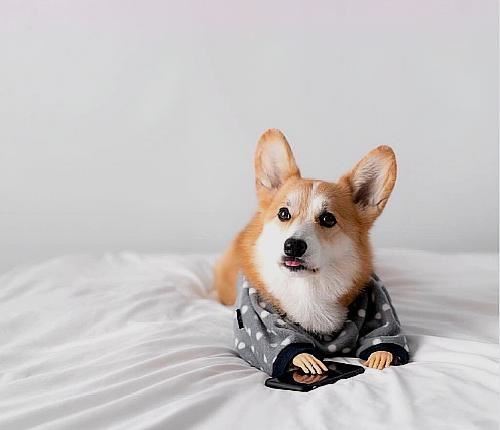 好听很暖心的晚安说说，发朋友圈人人点赞！