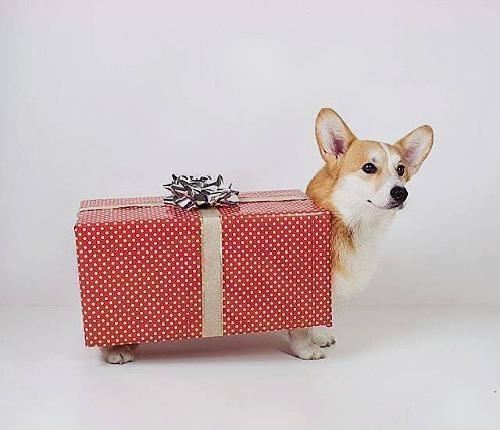 好听很暖心的晚安说说，发朋友圈人人点赞！