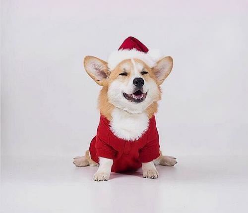 好听很暖心的晚安说说，发朋友圈人人点赞！