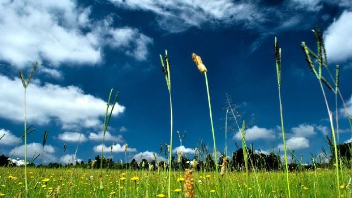 周末很经典的晚安说说，温暖美好，沁人心脾！
