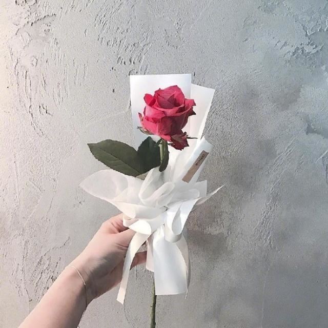 一波文艺的情话带图片，很甜很撩，没有之一！