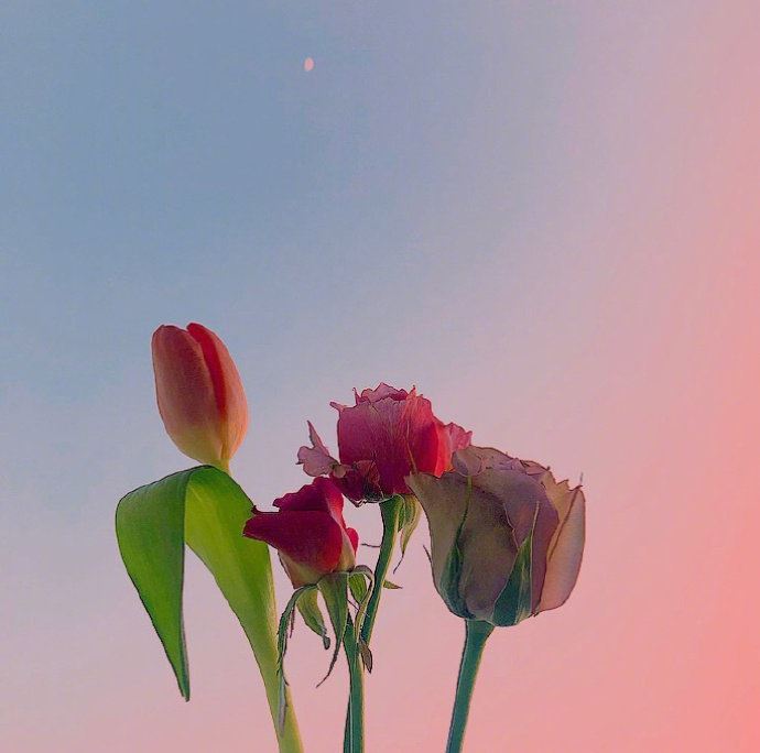 2023让人充满正能量的早安说说!