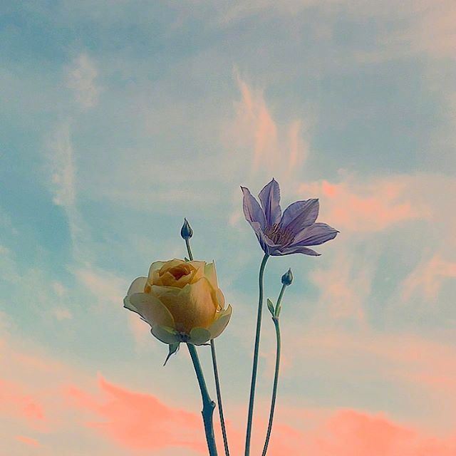 感慨人生的经典说说配图，读完让人豁然开朗！