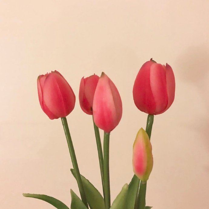 写进心坎的早安语录，句句经典，一见倾心！