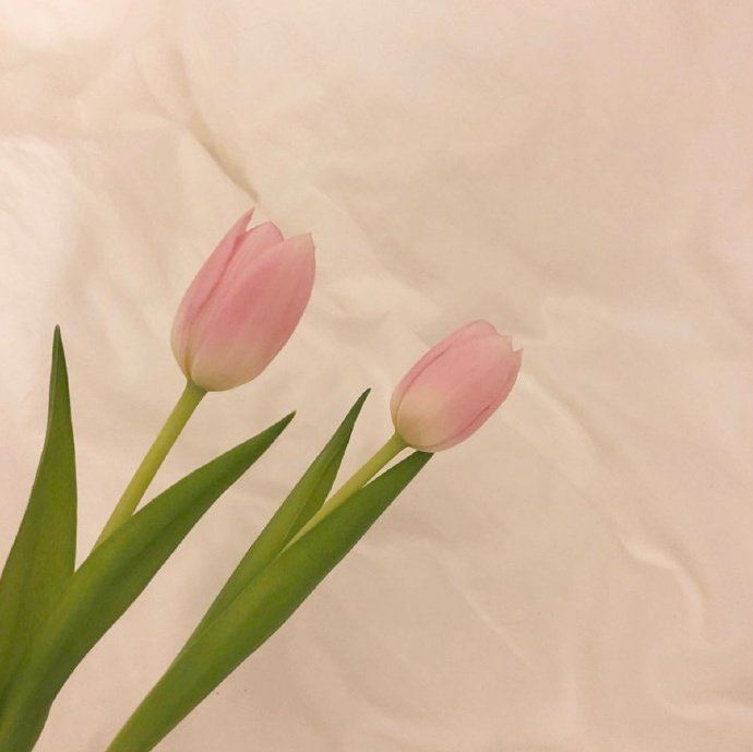 写进心坎的早安语录，句句经典，一见倾心！