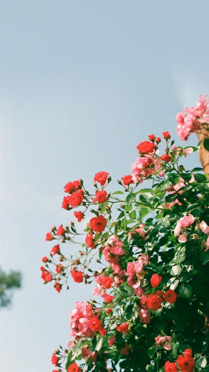 12月致自己的早安说说，干净有气质，值得分享！