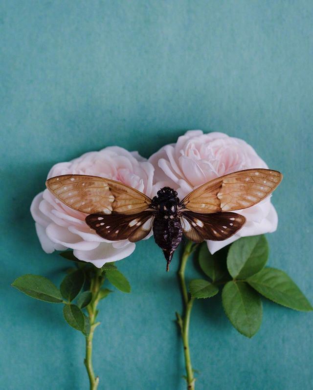 十二月致自己的人生哲理，经典毒辣，启迪人心！