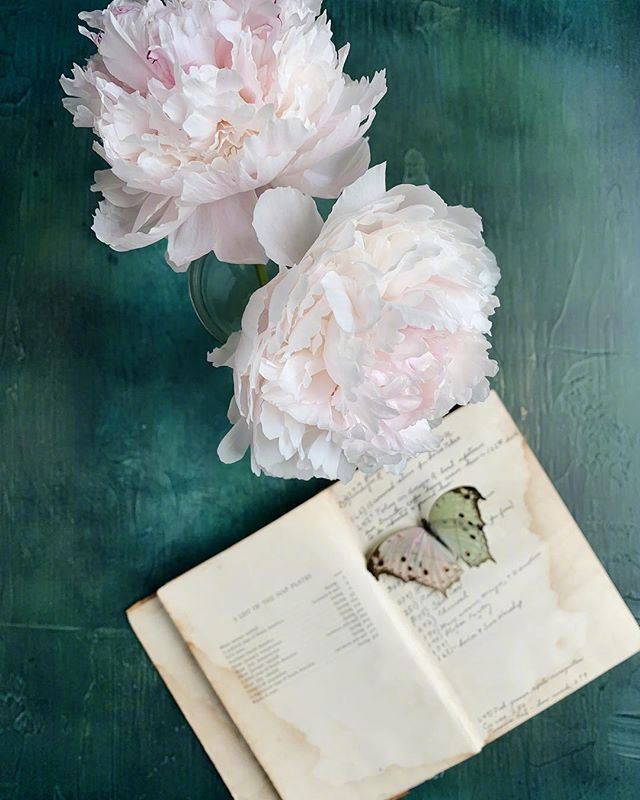 十二月致自己的人生哲理，经典毒辣，启迪人心！