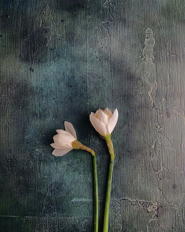 十二月致自己的人生哲理，经典毒辣，启迪人心！