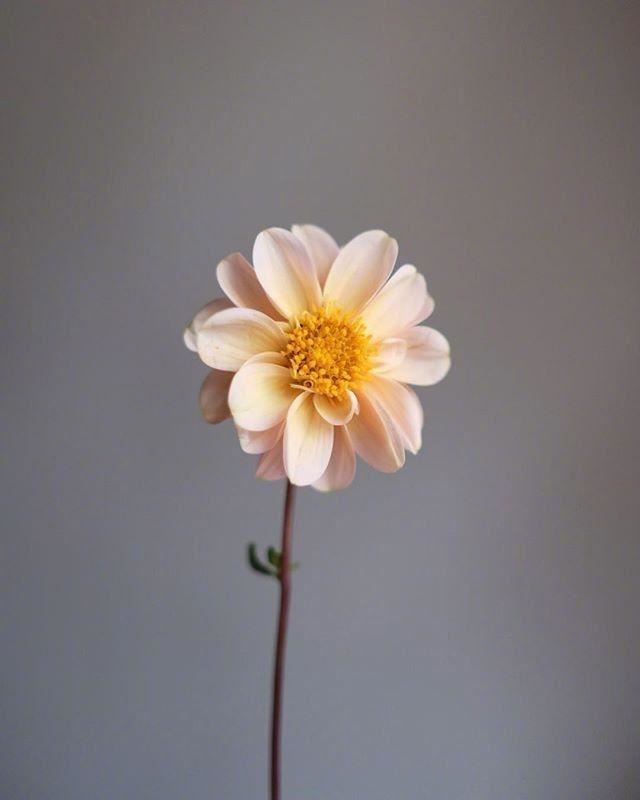 好心态的睡前句子，经典入心，百看不厌！