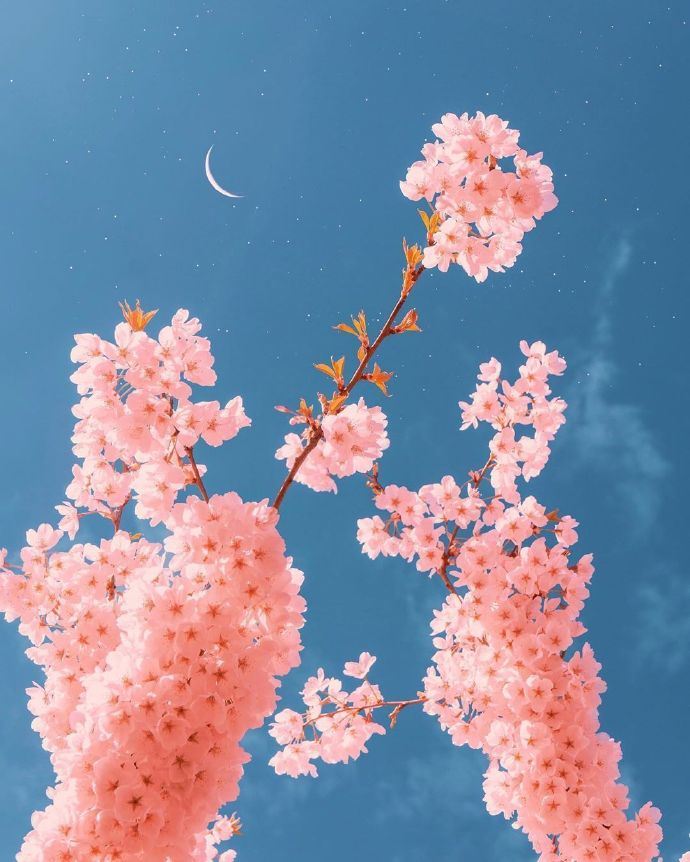 关于人生最精辟的21句话，有深度有品位！