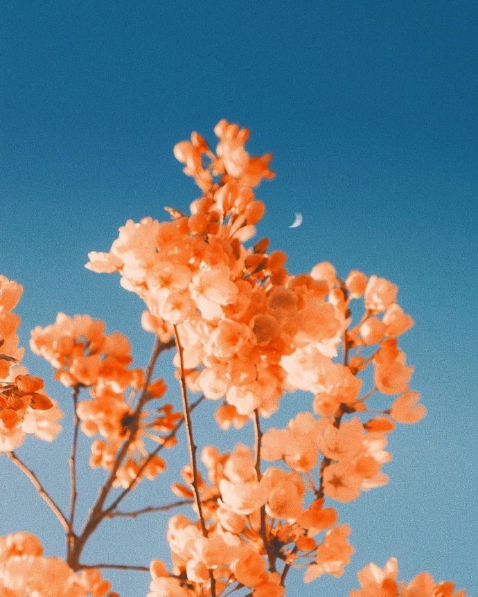 关于人生最精辟的21句话，有深度有品位！