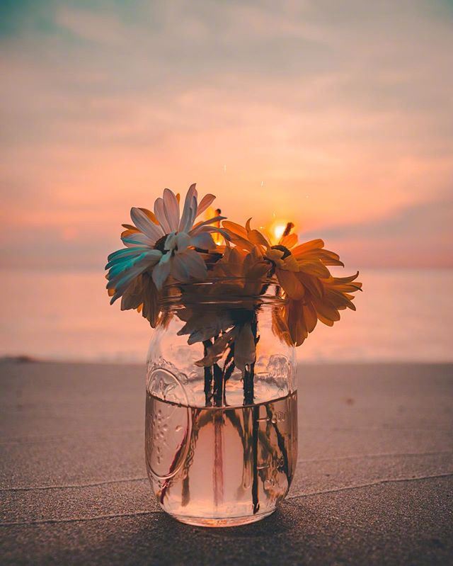 写给心累的自己的人生感悟，发朋友圈引人深思！