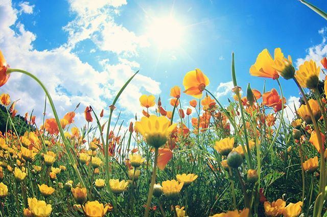 精美有气质的早安文案，让你一见倾心！