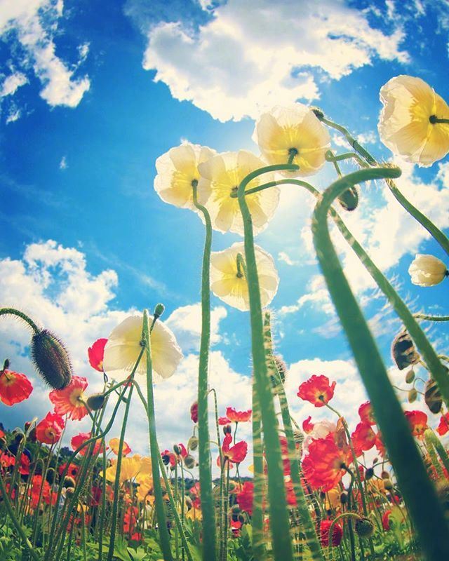 精美有气质的早安文案，让你一见倾心！