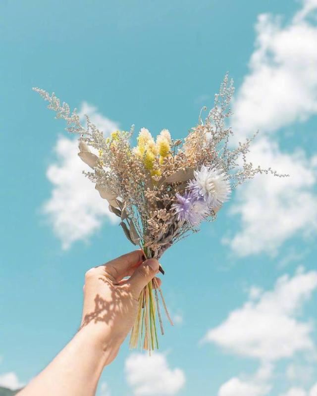 带给你正能量的早安心语，发朋友圈人人点赞！