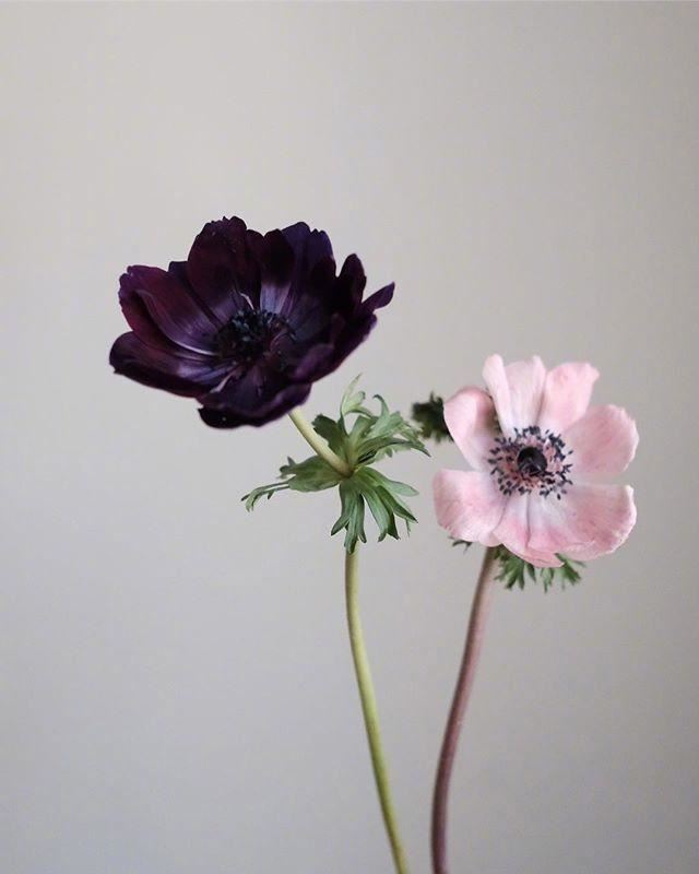 气质过人的人生格言，句句经典，发人深省！