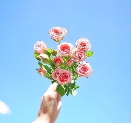 让人感到温暖的早安说说，简短精致，越看越爱！